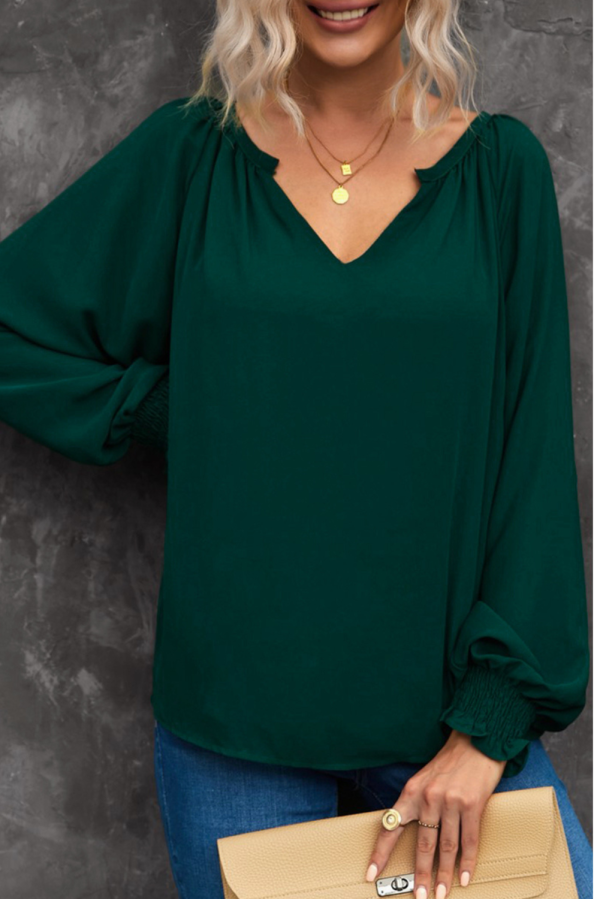 Yancie  Notched Neck Lantern Sleeve Blouse Hot on Sale - Image 4